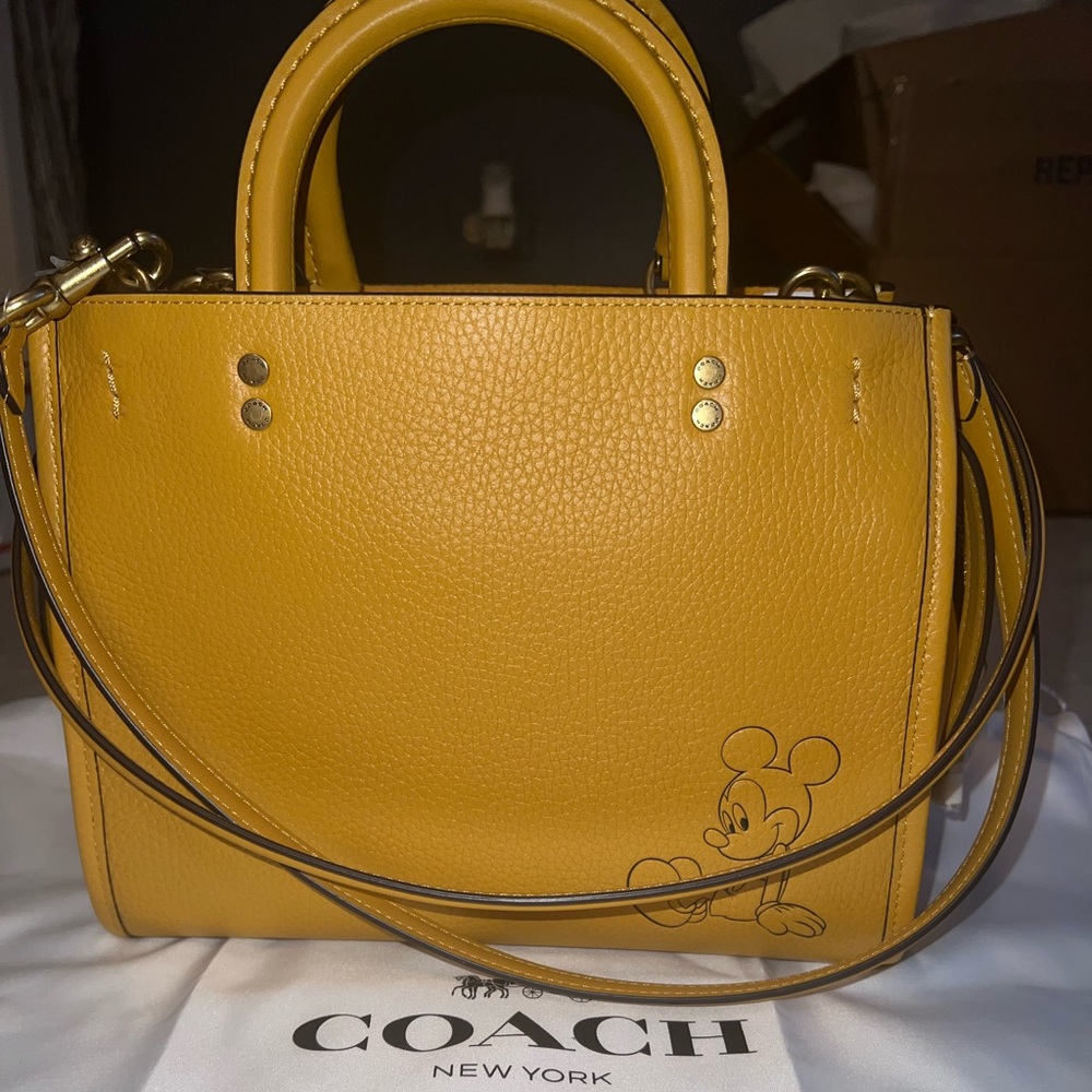 Coach rogue 25 Disney